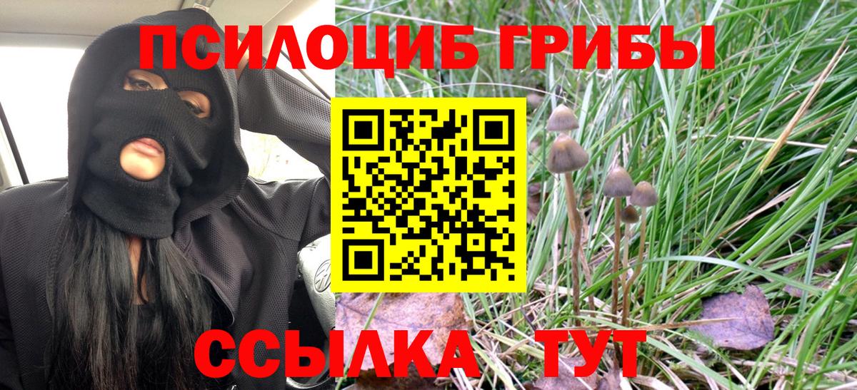 Псилоцибиновые грибы прущие грибы  Вход с VPN  Нефтекумск  Псилоцибиновые грибы Psilocybe 