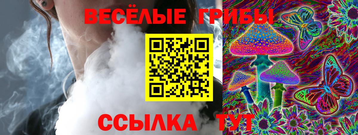 Галлюциногенные грибы Cubensis Нефтекумск